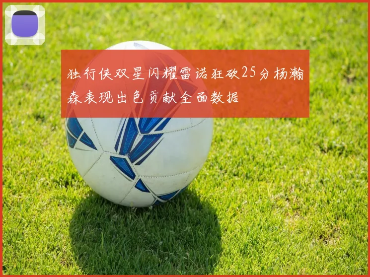 独行侠双星闪耀雷诺狂砍25分杨瀚森表现出色贡献全面数据