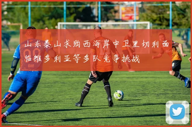 山东泰山求购西海岸中卫里切利面临维多利亚等多队竞争挑战