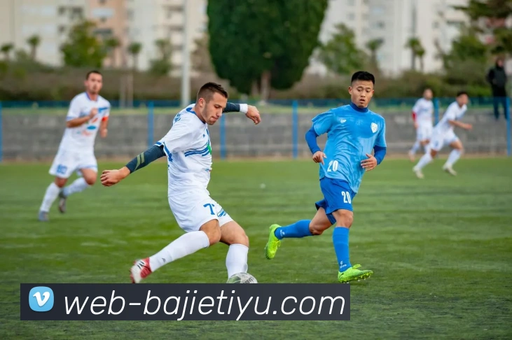 App Interface Preview