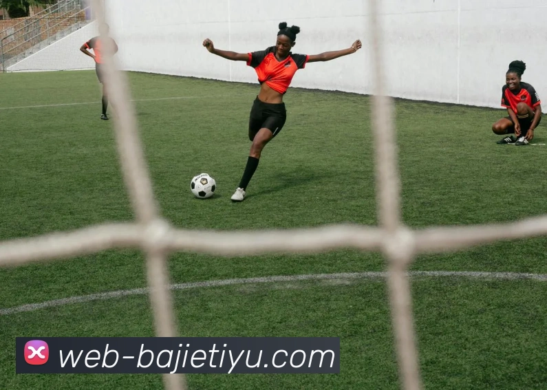 八戒体育APP 封面图